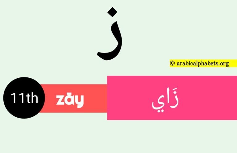 Eleventh Arabic Alphabet Letter