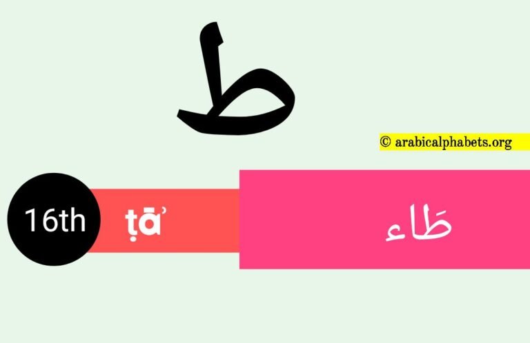 Sixteenth Arabic Alphabet Letter