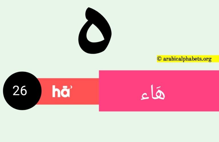 Twenty-six Arabic Alphabet Letter