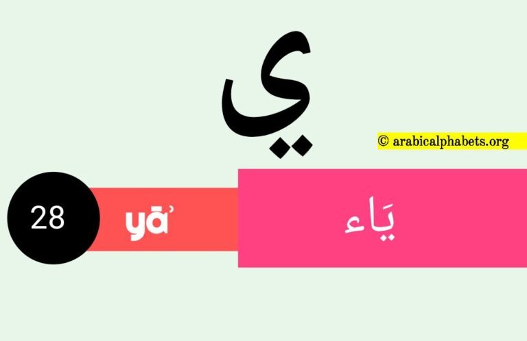 Twenty-eight Arabic Alphabet Letter