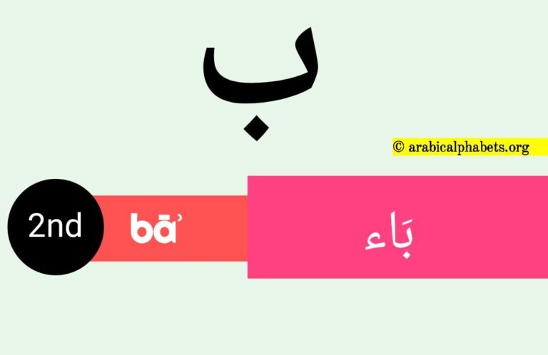 Second Arabic Alphabet Letter, Get 1 to 28 Arabic Letters Order