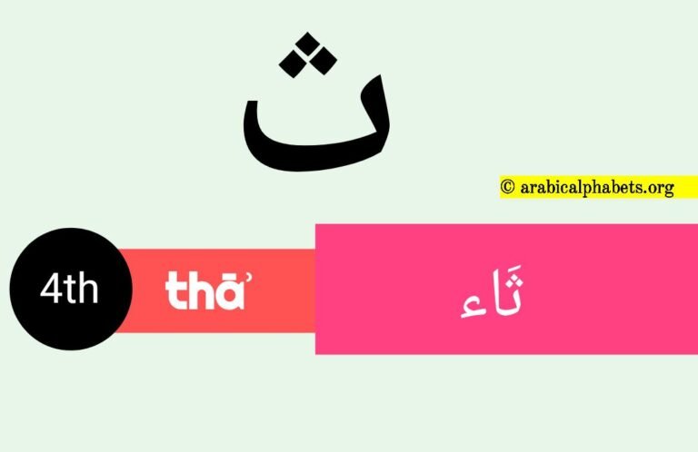 Learn the Fourth Arabic Alphabet Letter: Isolated Form