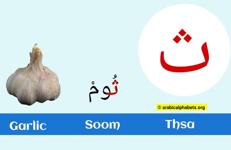 Arabic Letter Tha – (ث) Read & Write with Illustrations Printable Poster