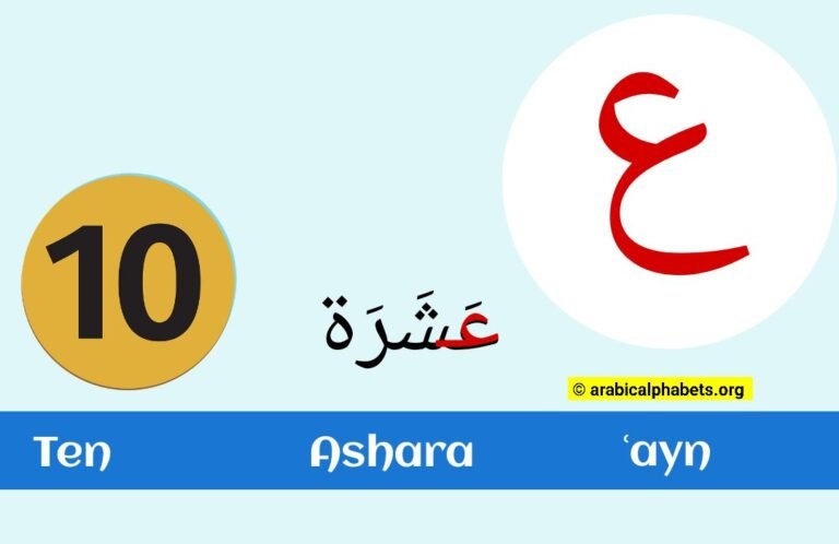 Ayn (AIN) Arabic Letter – (ع) Complete Guide For Beginners