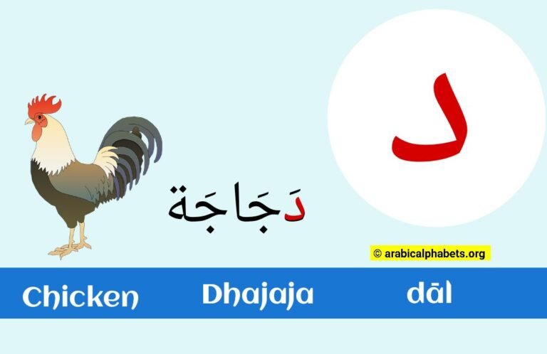 Dal In The Arabic Letter: (د) Read & Write with Illustrations