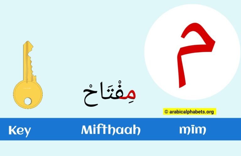 Arabic Letter mīm – (م): Learn Everything