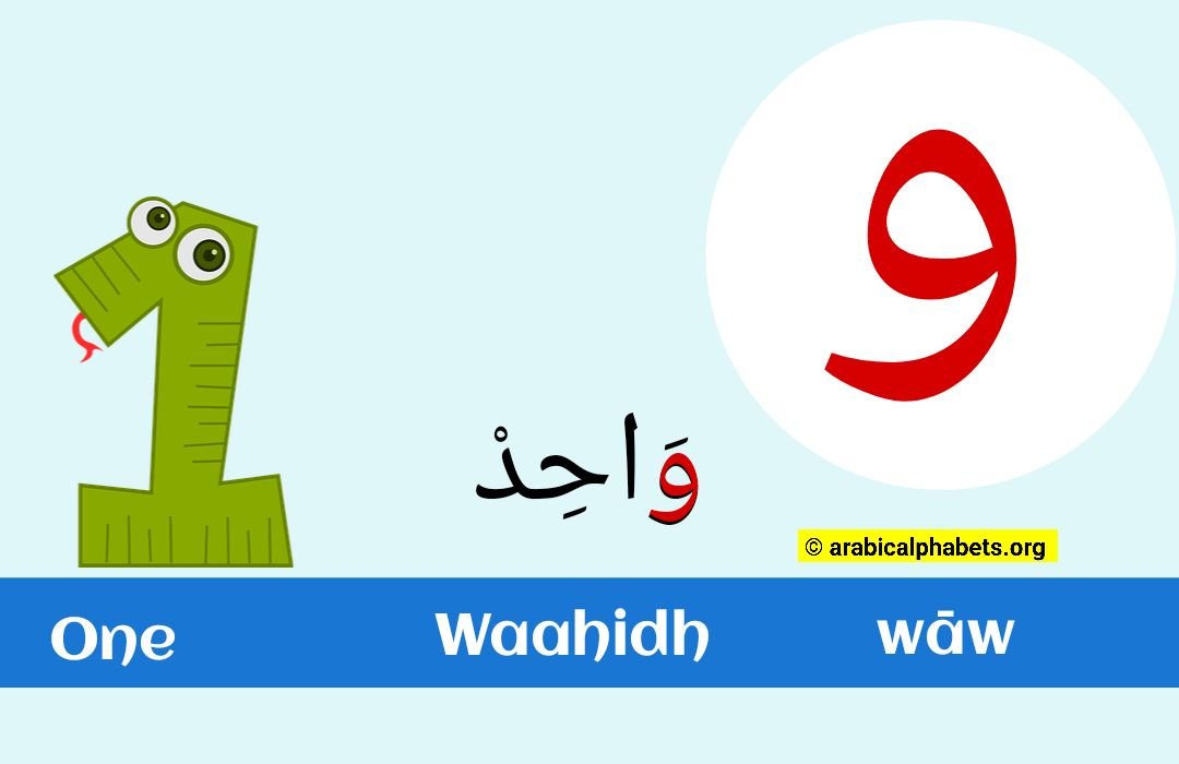 arabic-letter-waw-use-with-illustrations