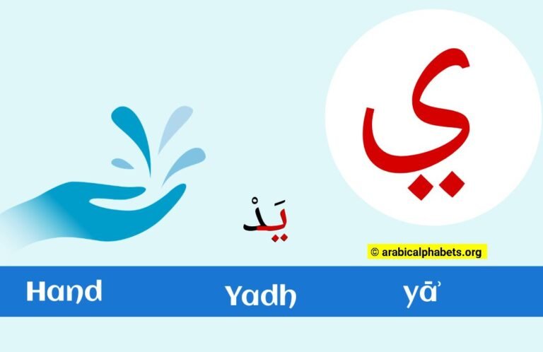 Arabic Letter Ya – (ي) &  Alphabetical Order
