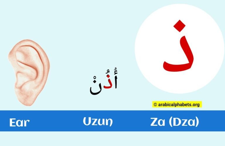 Arabic Letter Dhal – (ذ): Pronunciation & Its Uses